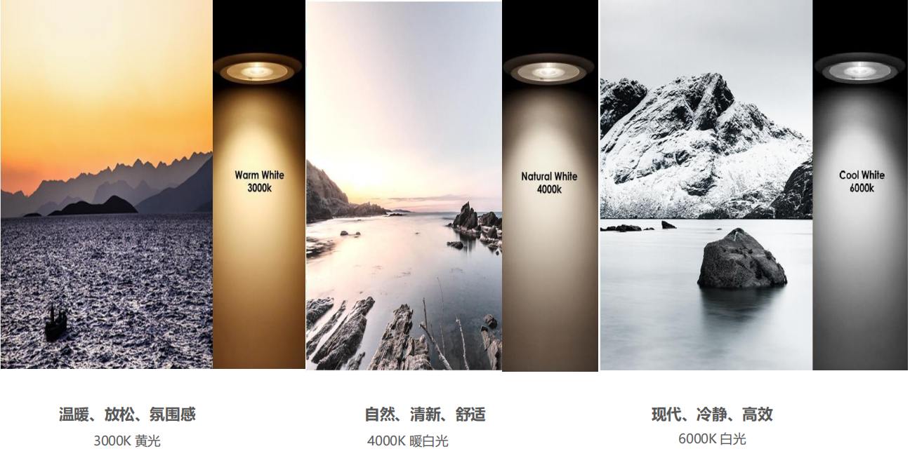 【設計案例】普照國康醫(yī)藥辦公室項目概念設計——以空間敘事，筑品牌基因(圖26)