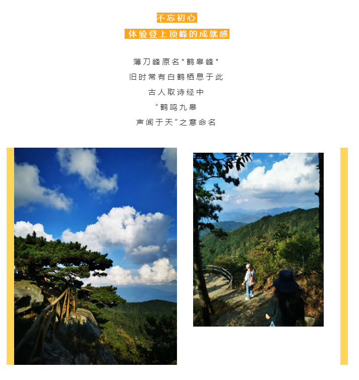 秋天了，來一場成年人的秋游吧(圖2)