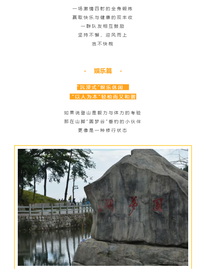 秋天了，來一場成年人的秋游吧(圖4)