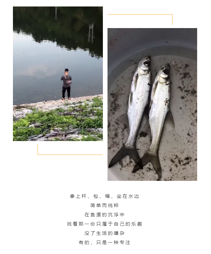 秋天了，來一場成年人的秋游吧(圖5)